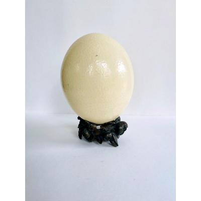 Ostrich Egg
